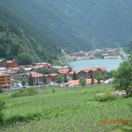 Zeren Pansiyon Kamalac Dış mekan fotoğraf