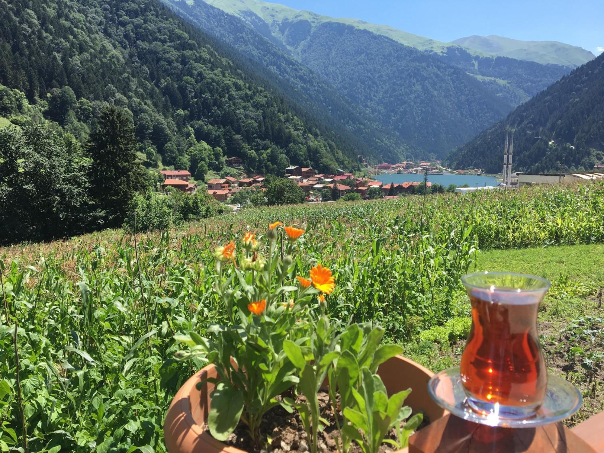 Zeren Pansiyon Kamalac Dış mekan fotoğraf